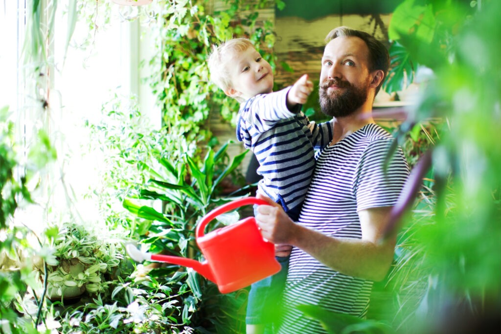 Vue intérieur d'une maison mise en valeur par une multitudes de plantes vertes